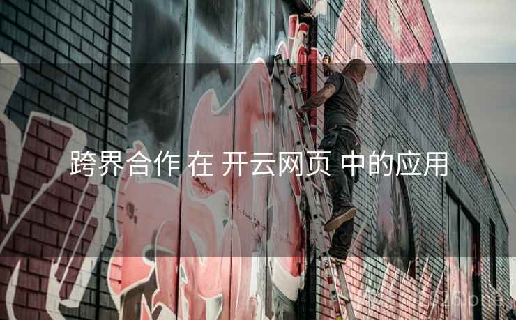 跨界合作 在 开云网页 中的应用