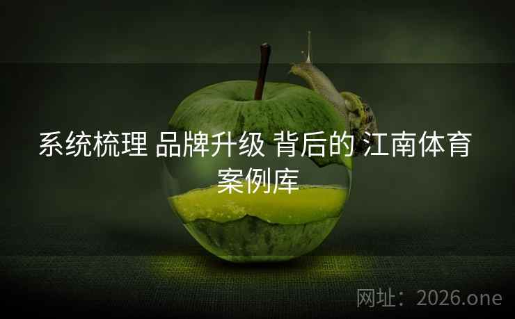 系统梳理 品牌升级 背后的 江南体育 案例库