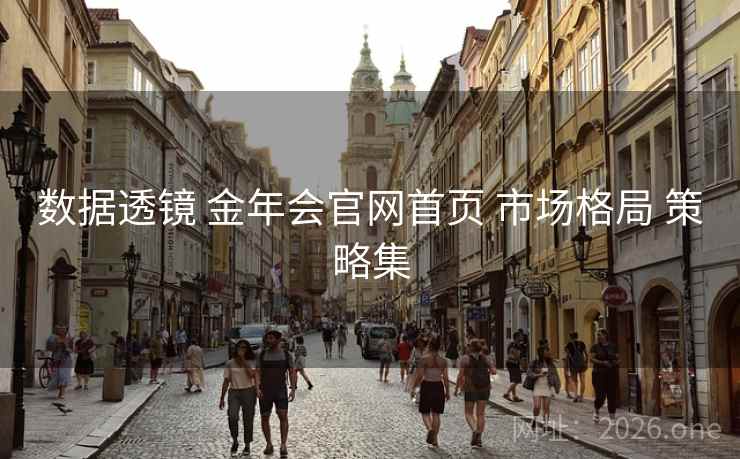 数据透镜 金年会官网首页 市场格局 策略集