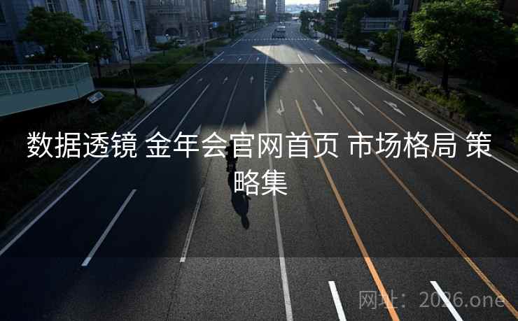 数据透镜 金年会官网首页 市场格局 策略集