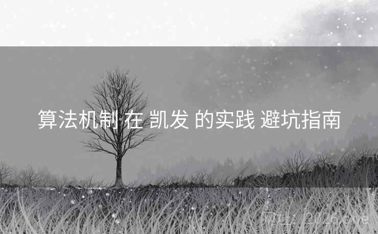 算法机制 在 凯发 的实践 避坑指南