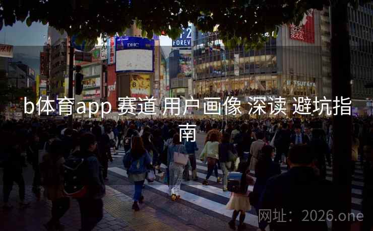 b体育app 赛道 用户画像 深读 避坑指南