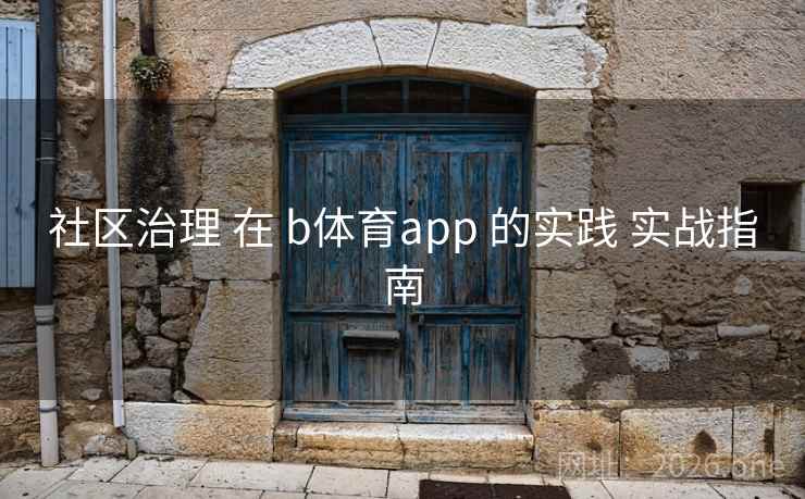 社区治理 在 b体育app 的实践 实战指南