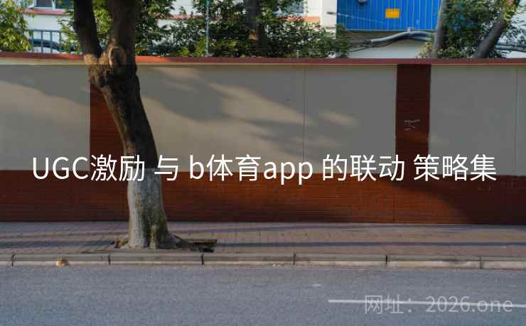 UGC激励 与 b体育app 的联动 策略集