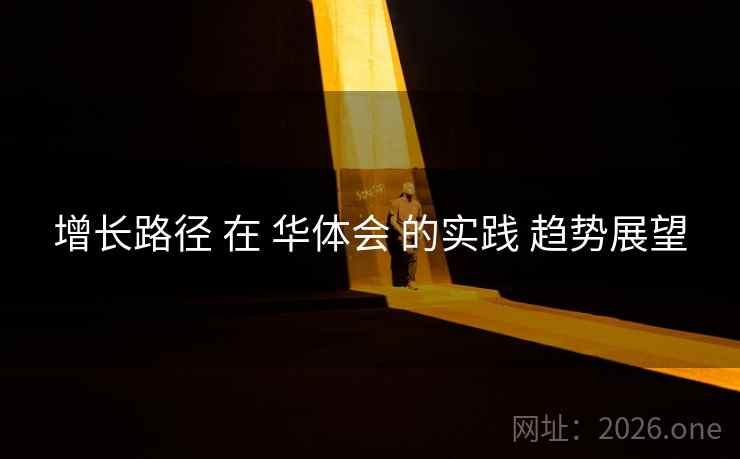 增长路径 在 华体会 的实践 趋势展望