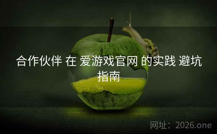 合作伙伴 在 爱游戏官网 的实践 避坑指南