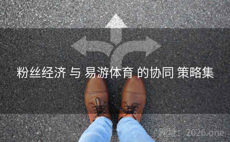 粉丝经济 与 易游体育 的协同 策略集