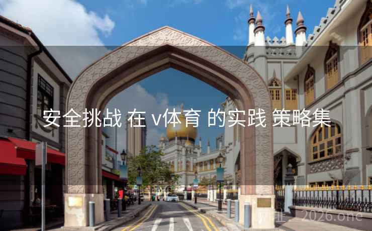 安全挑战 在 v体育 的实践 策略集