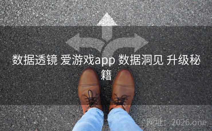 数据透镜 爱游戏app 数据洞见 升级秘籍