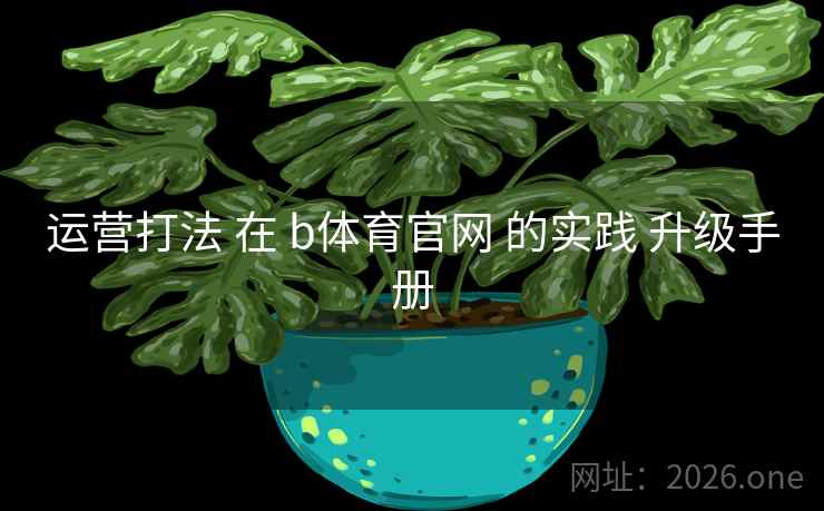 运营打法 在 b体育官网 的实践 升级手册