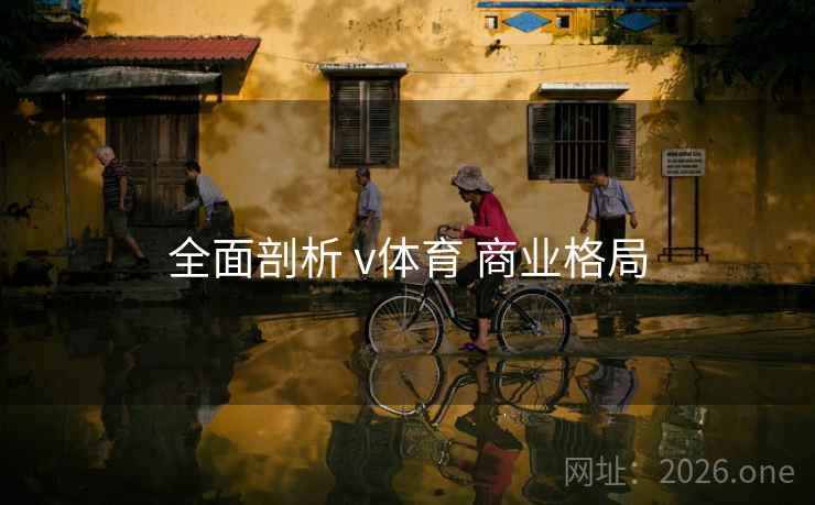全面剖析 v体育 商业格局 全面剖析 v体育 商业格局